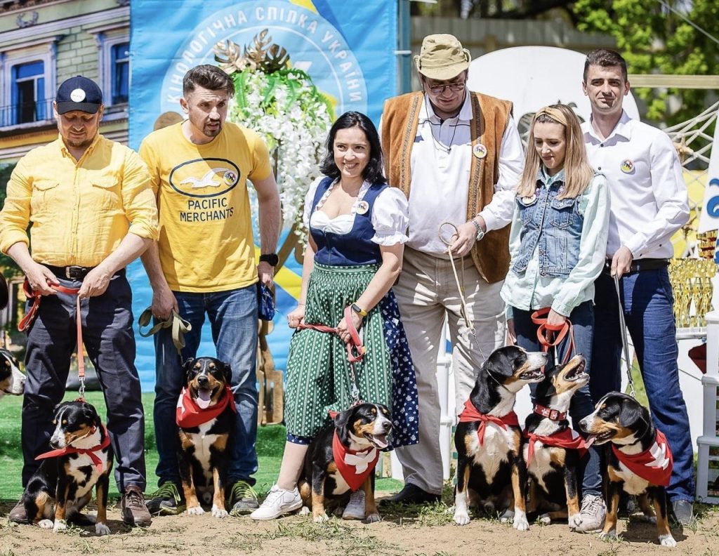 Dog shows — Entlebucher Mountain Dogs