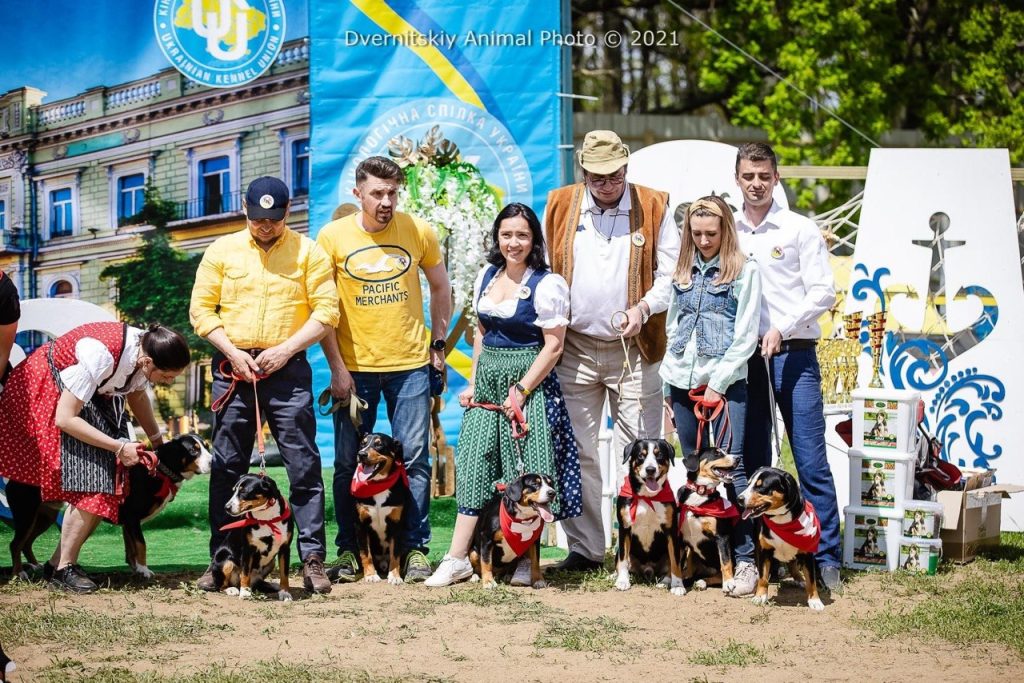 Dog shows — Entlebucher Mountain Dogs