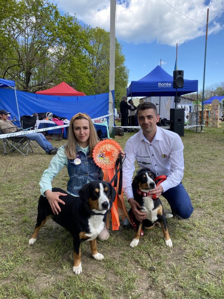 Dog shows — Entlebucher Mountain Dogs