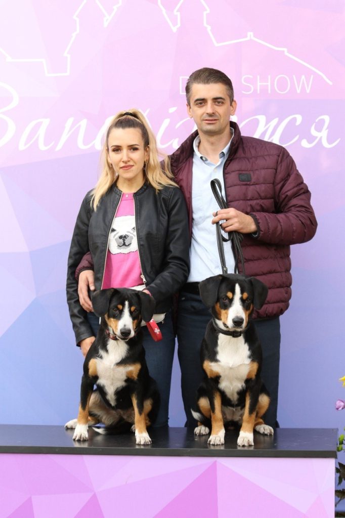 Dog shows — Entlebucher Mountain Dogs