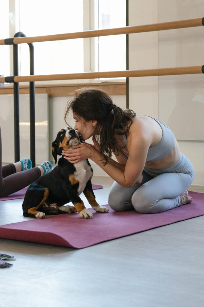 Puppy yoga — Entlebucher Mountain Dogs