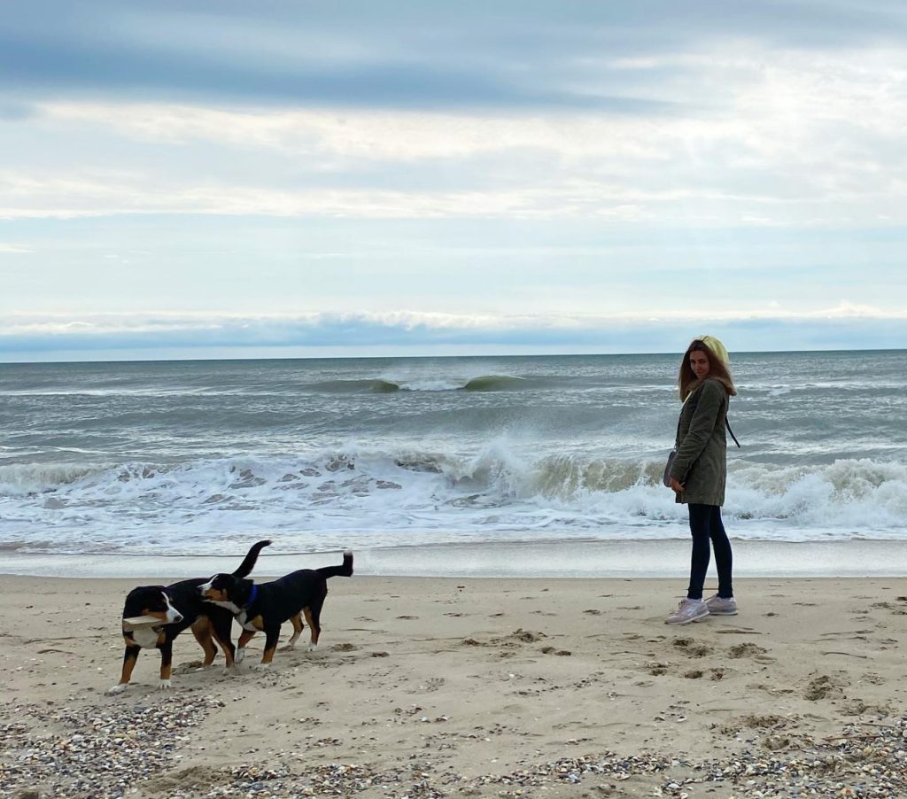 Beach walks — Entlebucher Mountain Dogs