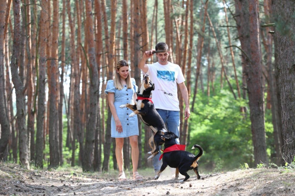 Walks — Entlebucher Mountain Dogs